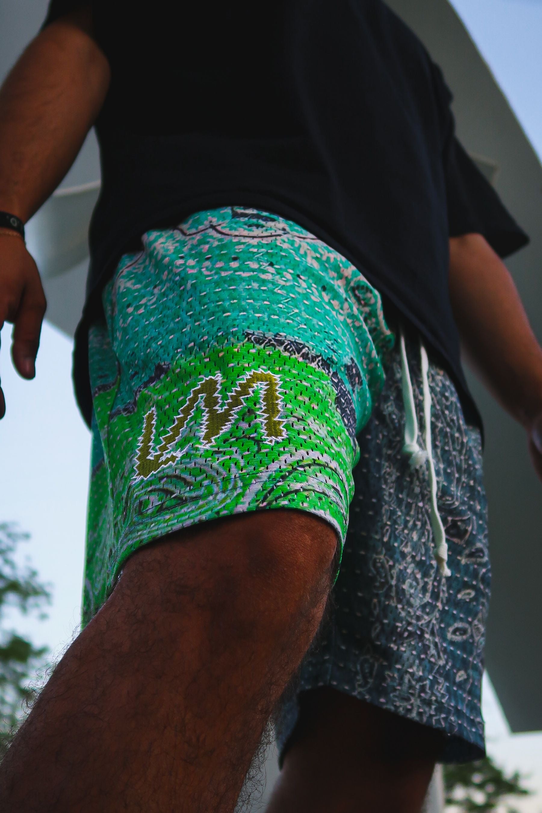 Slime Paisley Shorts